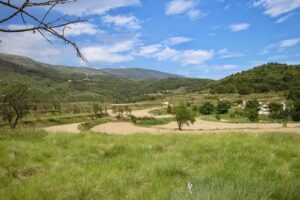 Finca Seguró Resort & Bodega