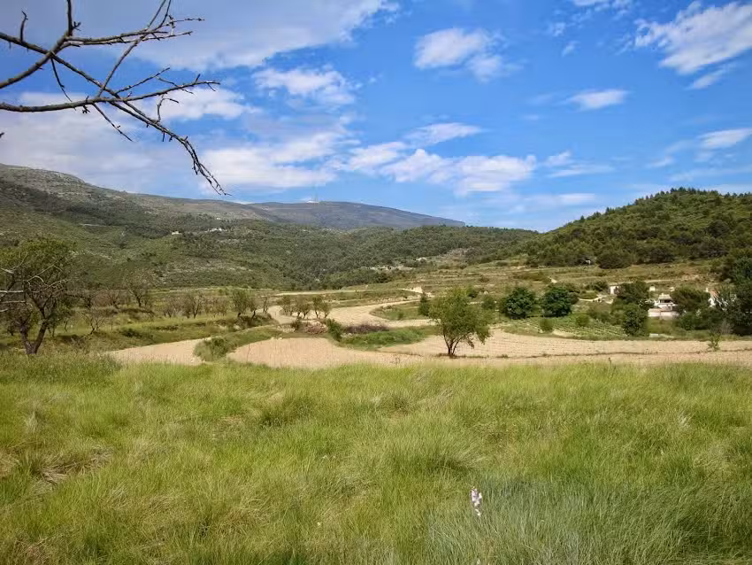 Finca Seguró Resort & Bodega