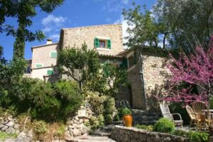 Finca Valldemossa Son Salvanet