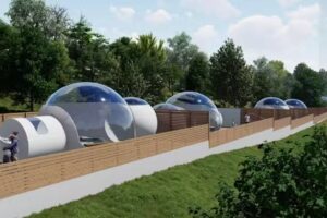 Fuente Del Lobo Bungalows