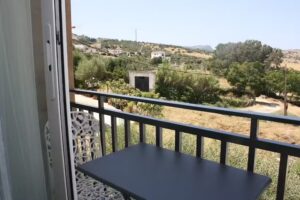 FUENTE LEBANA LABRADORES