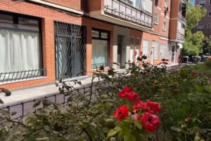 Gala Apartamento turístico Vista Alegre – (Madrid)