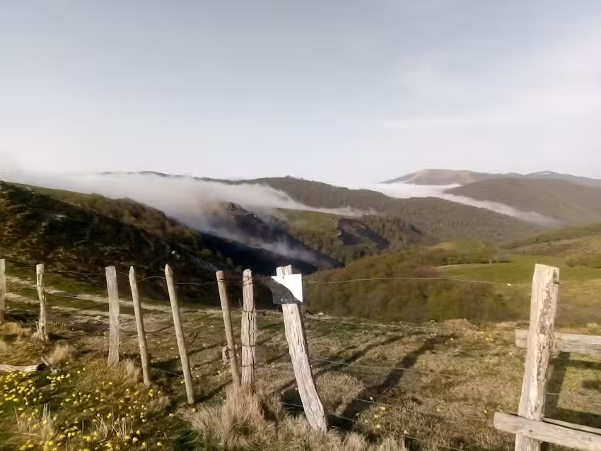 Gertxadako Basajauna