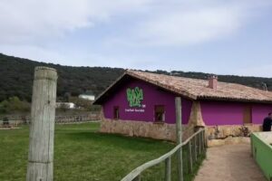 Granja escuela Basabere