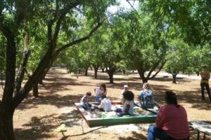 Grupo Alcoia – Restaurante