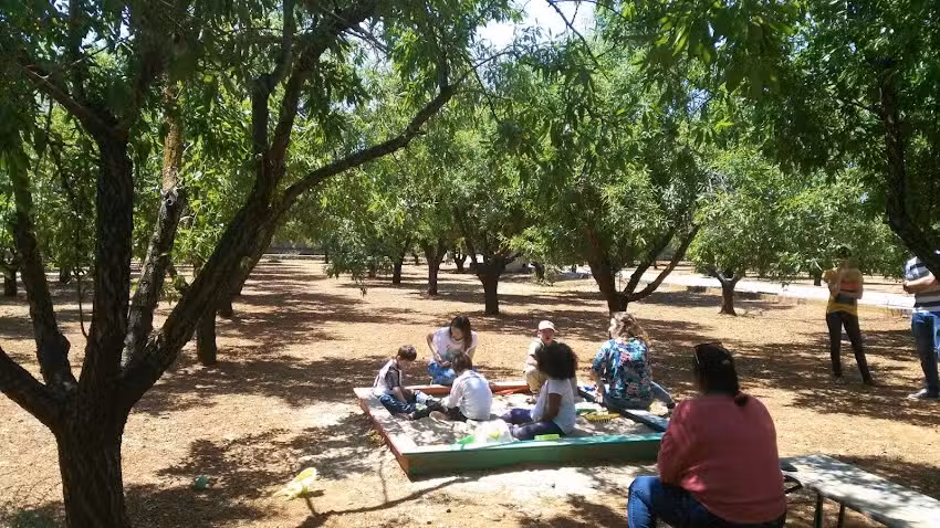 Grupo Alcoia – Restaurante