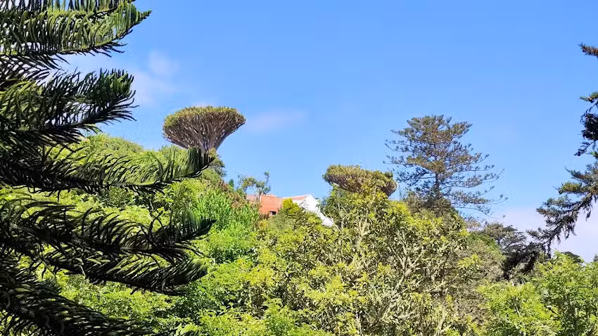 Hacienda San Fernando