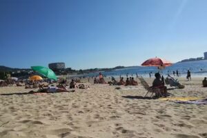 Herederos Pérez Gil C.B