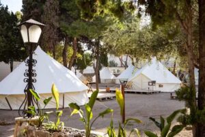 HolaCamp Sant Salvador