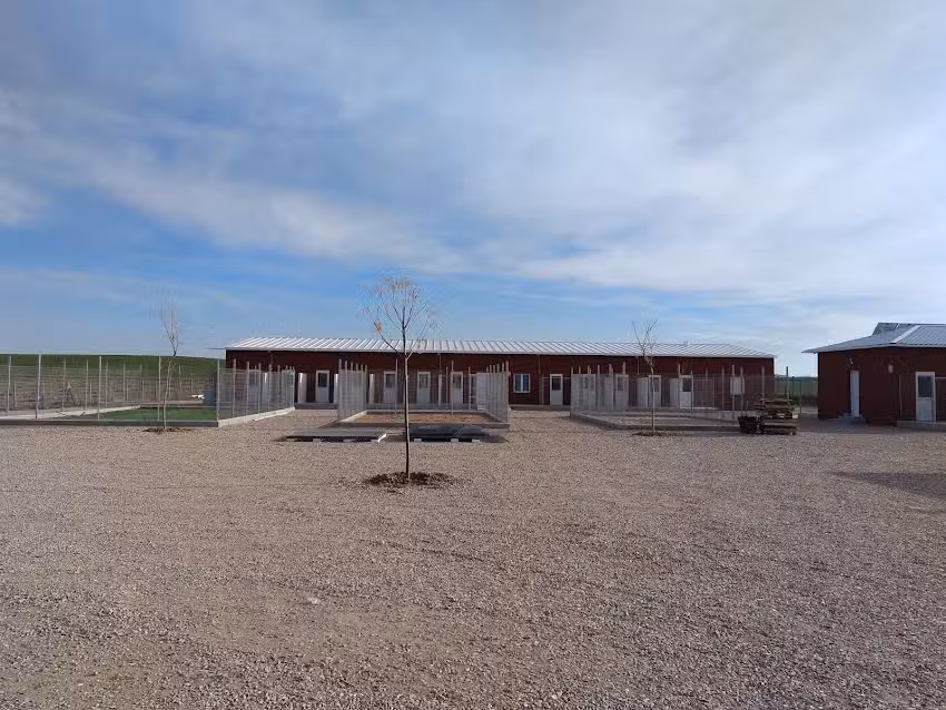 Holiday Can Mocejon hotel canino