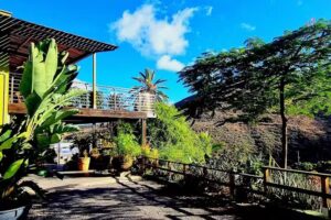 Holidays Flat Finca Oasis