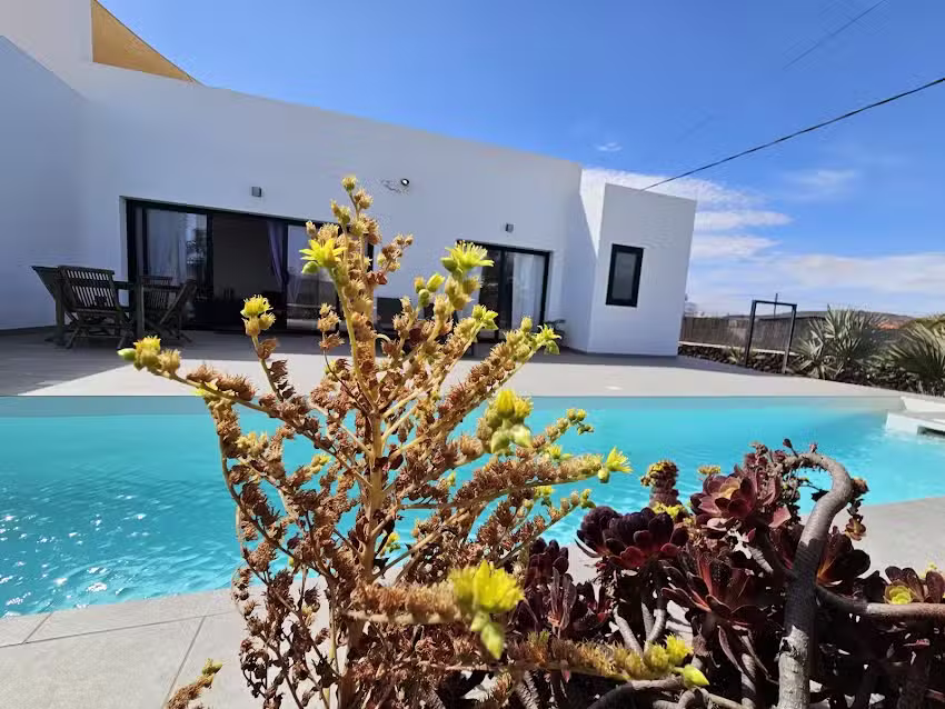 Holshome fuerteventura