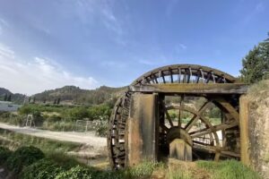 Hospédate con TEO – Apartamentos y Hotel