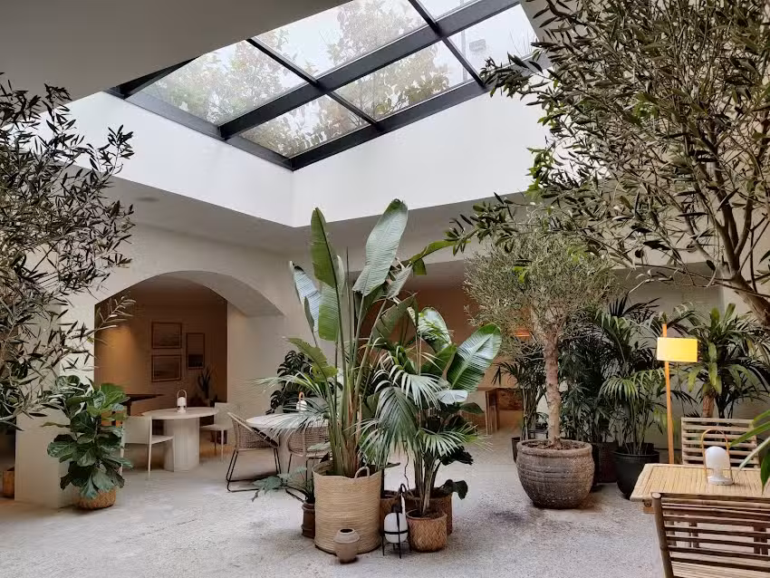 Hotel Avenida