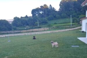 Hotel canino Aulacan