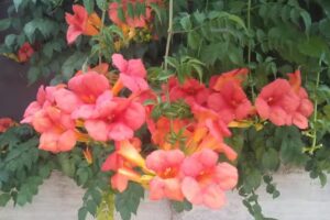 Hotel Corera La Rioja