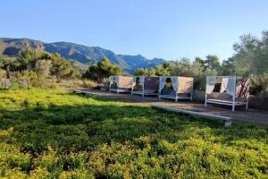 Hotel Gastronómico Mar de Fulles