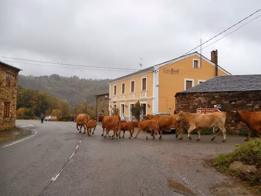 Hotel Rural Casa Rodil