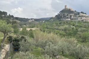Hôtel rural castillo de biar