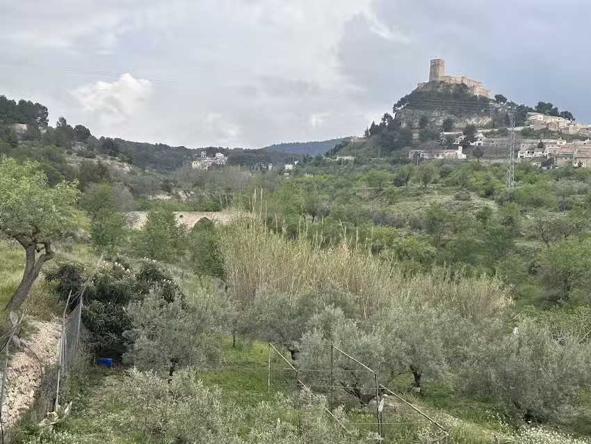 Hôtel rural castillo de biar
