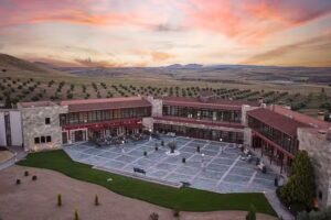 Hotel Spa Villa Nazules