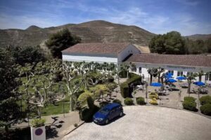 Hotel Virrey Palafox