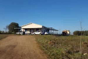 Humedales de daimiel