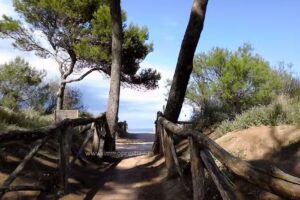 IMMO PRESTIGE | VACAY