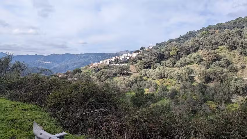 Jubrique