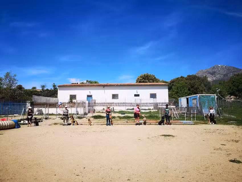 Julio Cano – Coach Canino