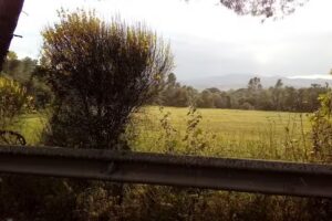 L’Esplanada Natura S.L.