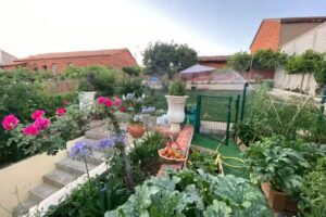 La Bodega de la Valduerna