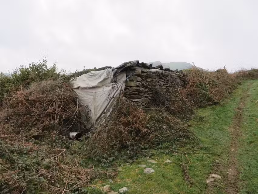 La Cabaña de Tomasín