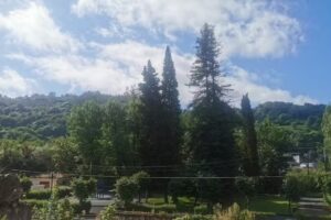 La Calleja de Trubia