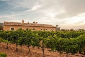 La Casa del Labrador – Casa Rural