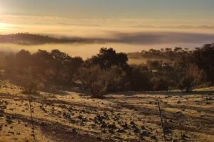 La Casa Rural del Artista