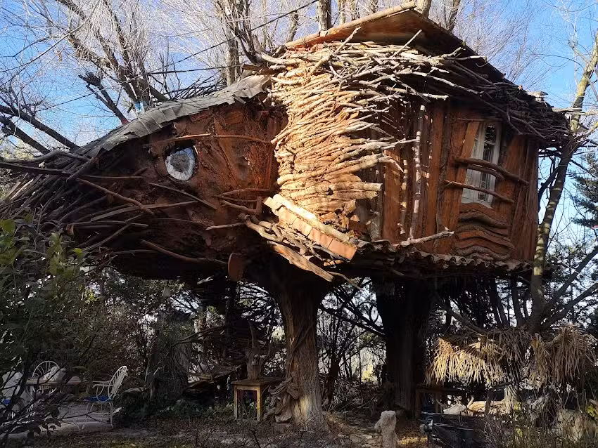 La Casita del Árbol