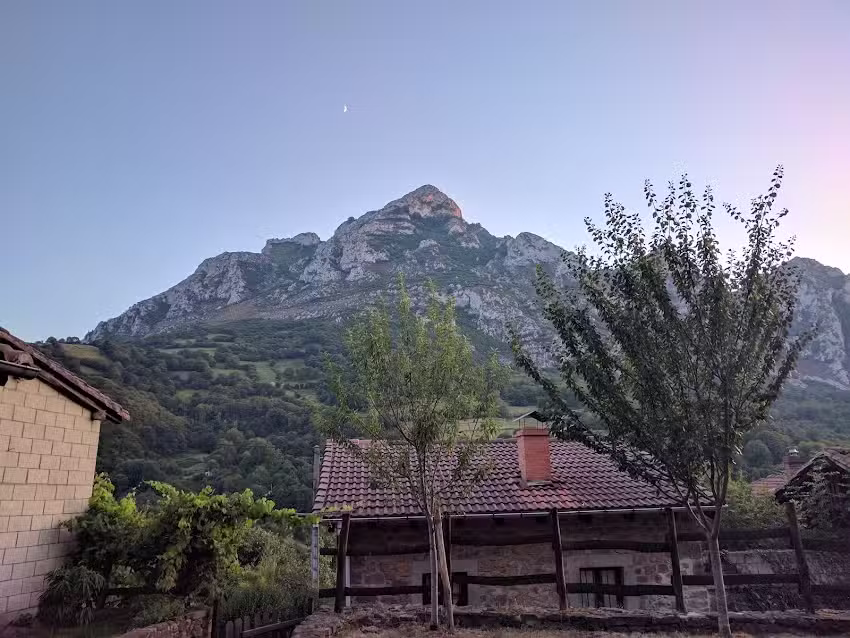 La Cuadrina de Marcelo