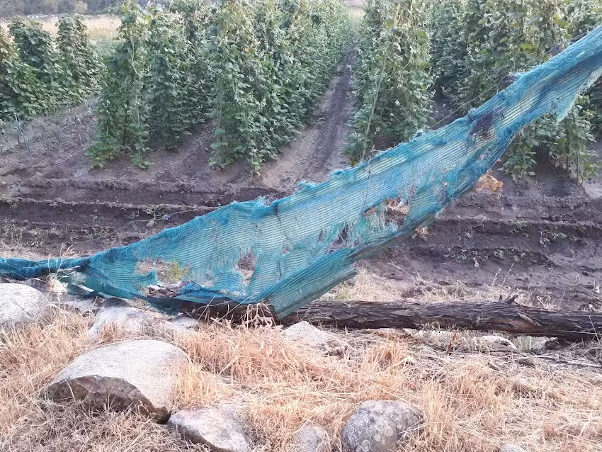 La Fuente y El Pilón