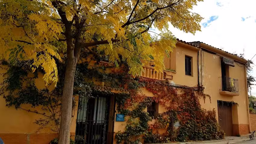 La Gatera del Puig