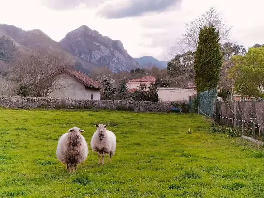 La Granda de la Concha