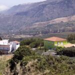 La higuera