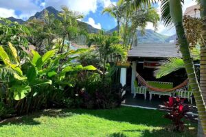 La Selvita Tropical Home