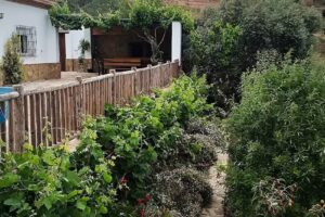 La Sombra de la Parra