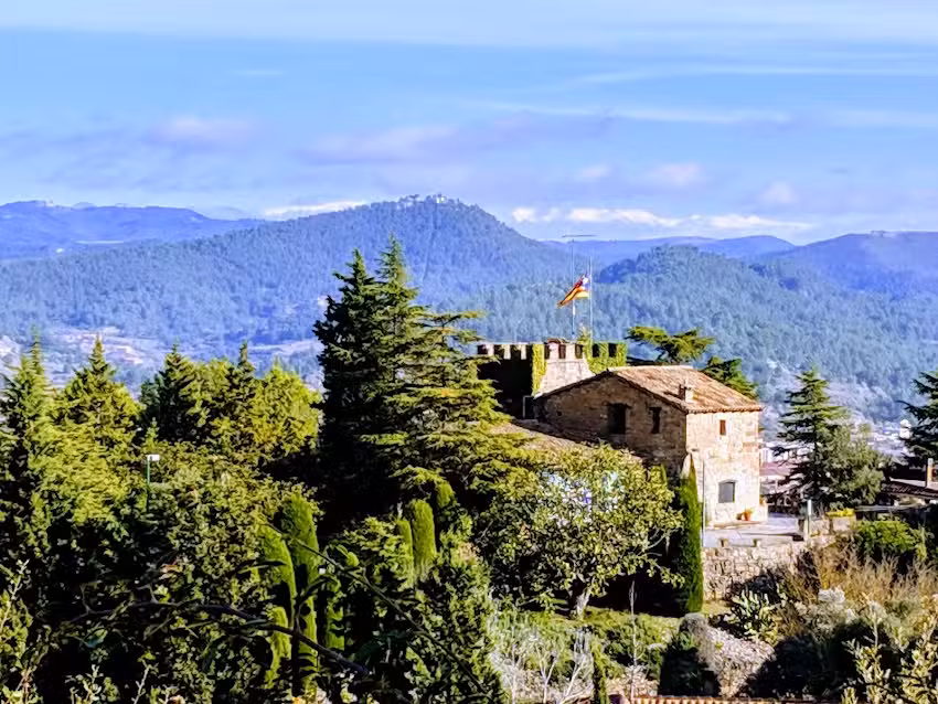 La Vinya de Mas Pujol