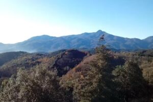 La Vinyota d’en peroler