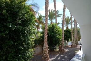 Las Palmas apartment