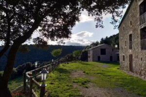 Les Cases de Borrells