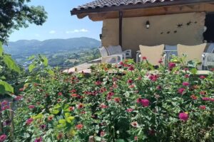 Lizolagoiena nekazalturismoa