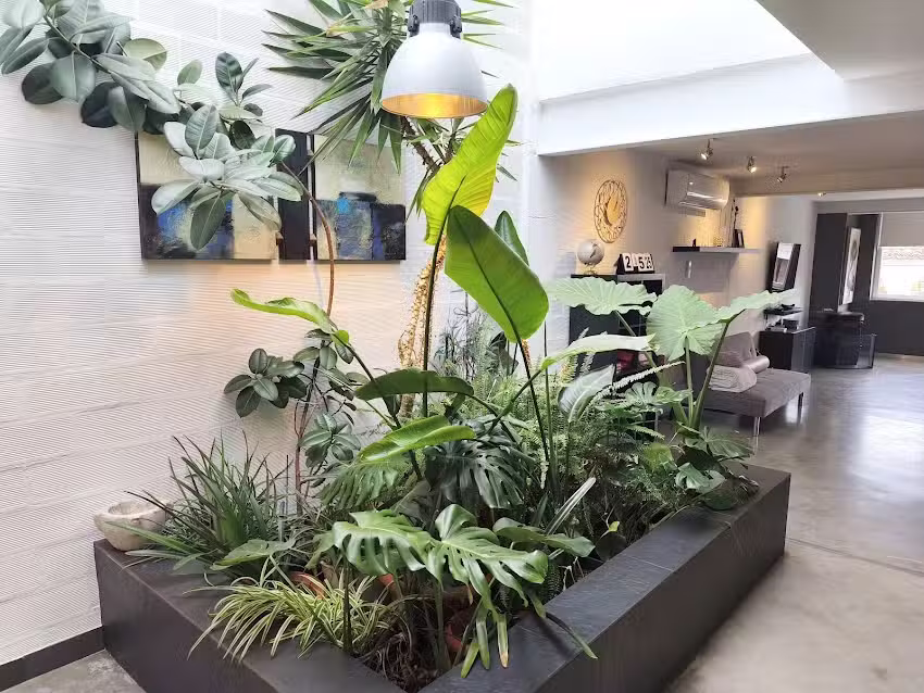 Loft Carrasketa, Alfafara.